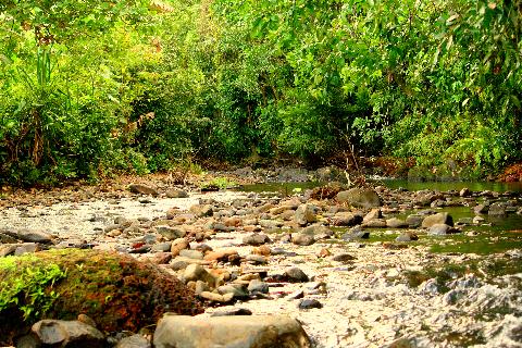Goa in Pictures - Download Goa Photos